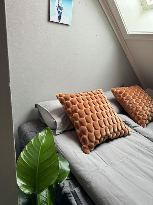 Urban Loftleilighet Trondheim Kültér fotó